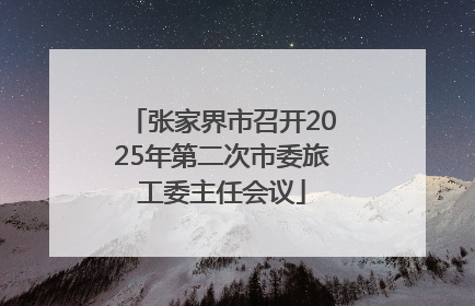 张家界市召开2025年第二次市委旅工委主任会议