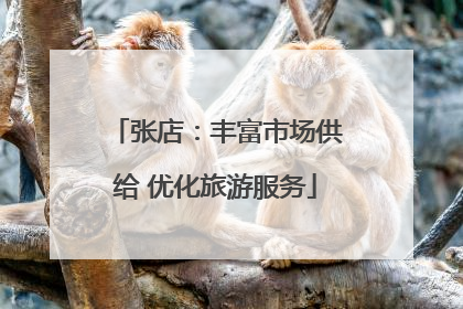 张店：丰富市场供给 优化旅游服务