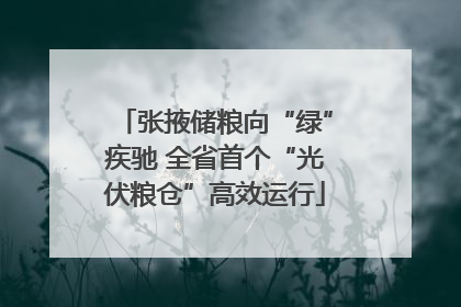 张掖储粮向“绿”疾驰 全省首个“光伏粮仓”高效运行