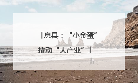 息县：“小金蛋”撬动“大产业”