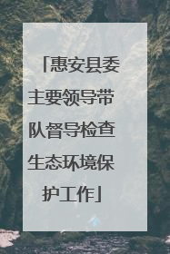 惠安县委主要领导带队督导检查生态环境保护工作