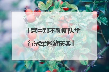 意甲那不勒斯队举行冠军巡游庆典