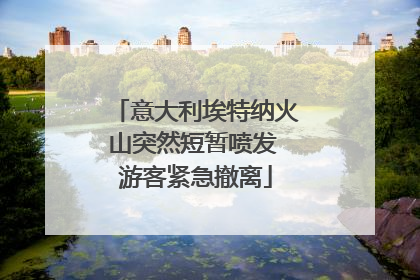 意大利埃特纳火山突然短暂喷发 游客紧急撤离