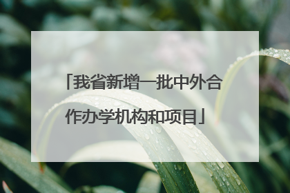 我省新增一批中外合作办学机构和项目