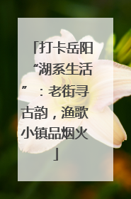 打卡岳阳“湖系生活”：老街寻古韵，渔歌小镇品烟火