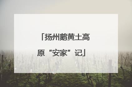 扬州鹅黄土高原“安家”记