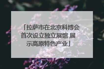 拉萨市在北京科博会首次设立独立展馆 展示高原特色产业