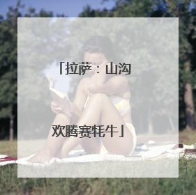 拉萨：山沟欢腾赛牦牛