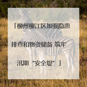 柳州柳江区加强隐患排查和物资储备 筑牢汛期“安全堤”
