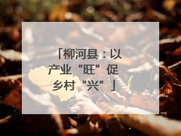 柳河县：以产业“旺”促乡村“兴”