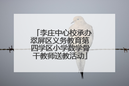 李庄中心校承办翠屏区义务教育第四学区小学数学骨干教师送教活动