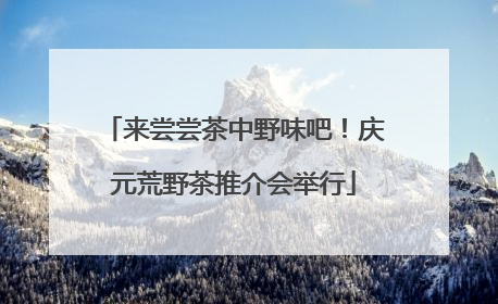 来尝尝茶中野味吧！庆元荒野茶推介会举行