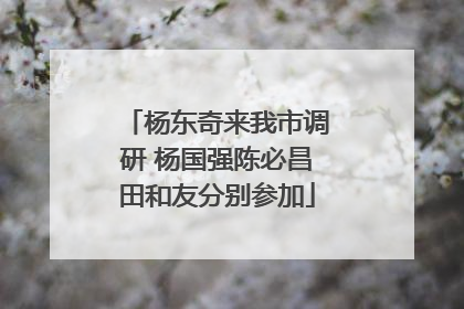 杨东奇来我市调研 杨国强陈必昌田和友分别参加