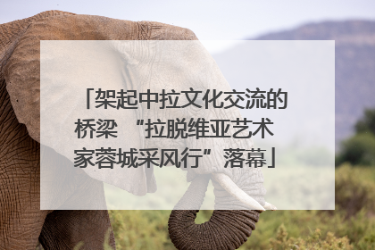 架起中拉文化交流的桥梁 “拉脱维亚艺术家蓉城采风行”落幕