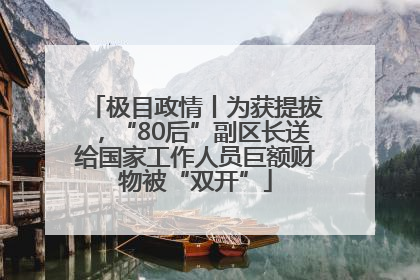 极目政情丨为获提拔，“80后”副区长送给国家工作人员巨额财物被“双开”