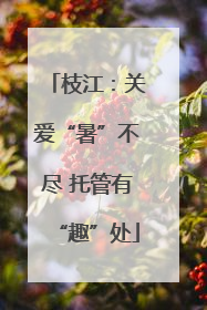 枝江：关爱“暑”不尽 托管有“趣”处