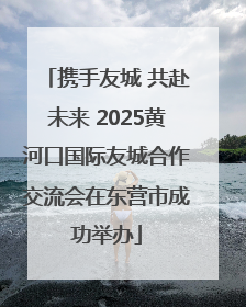 携手友城 共赴未来 2025黄河口国际友城合作交流会在东营市成功举办