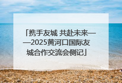 携手友城 共赴未来——2025黄河口国际友城合作交流会侧记