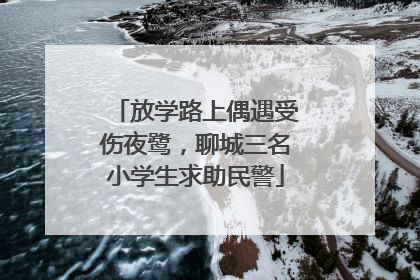 放学路上偶遇受伤夜鹭，聊城三名小学生求助民警