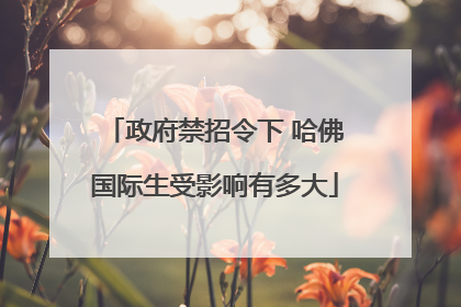 政府禁招令下 哈佛国际生受影响有多大