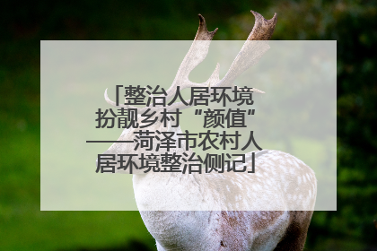 整治人居环境 扮靓乡村“颜值”——菏泽市农村人居环境整治侧记