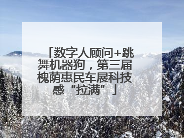数字人顾问+跳舞机器狗，第三届槐荫惠民车展科技感“拉满”