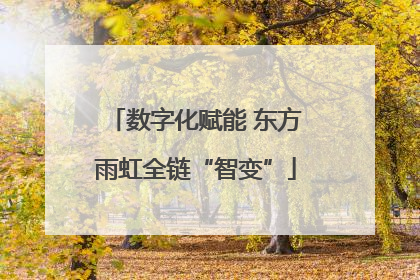 数字化赋能 东方雨虹全链“智变”