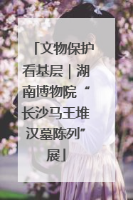 文物保护看基层｜湖南博物院“长沙马王堆汉墓陈列”展