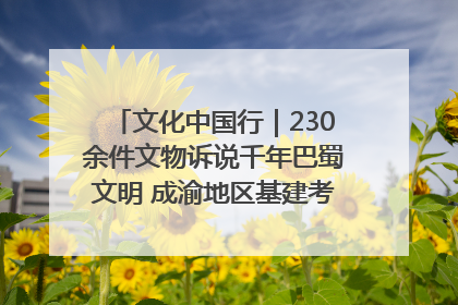 文化中国行｜230余件文物诉说千年巴蜀文明 成渝地区基建考古成果展开展
