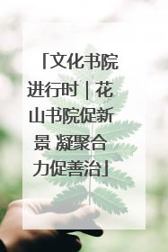 文化书院进行时｜花山书院促新景 凝聚合力促善治