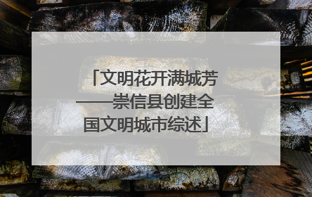 文明花开满城芳——崇信县创建全国文明城市综述