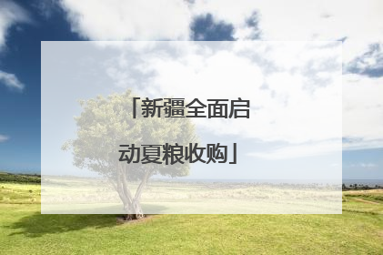 新疆全面启动夏粮收购