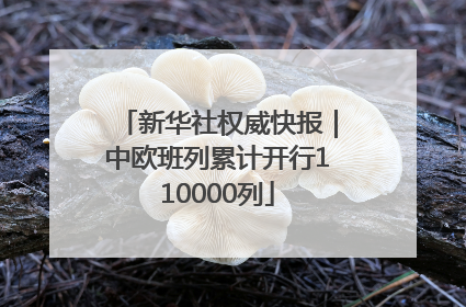 新华社权威快报｜中欧班列累计开行110000列