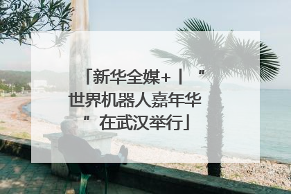 新华全媒+丨“世界机器人嘉年华”在武汉举行