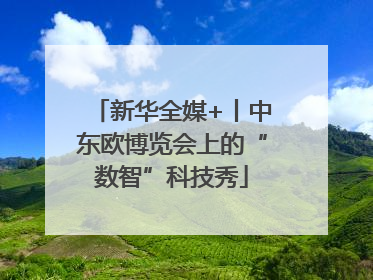 新华全媒+丨中东欧博览会上的“数智”科技秀