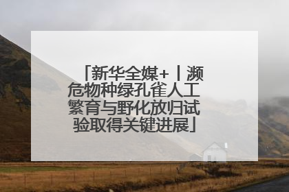 新华全媒+丨濒危物种绿孔雀人工繁育与野化放归试验取得关键进展