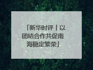 新华时评丨以团结合作共促南海稳定繁荣