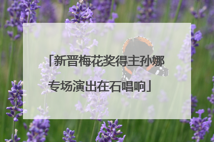 新晋梅花奖得主孙娜专场演出在石唱响