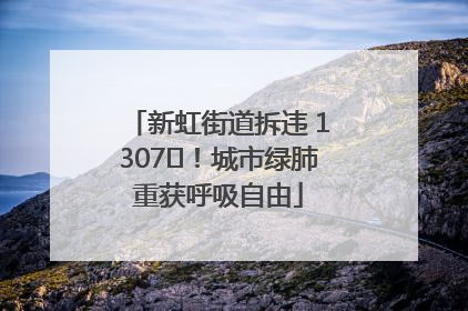 新虹街道拆违 1307㎡！城市绿肺重获呼吸自由