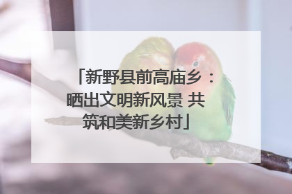 新野县前高庙乡：晒出文明新风景 共筑和美新乡村