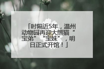 时隔近5年，温州动物园再迎大熊猫“宝弟”“宝妹”，明日正式开馆！