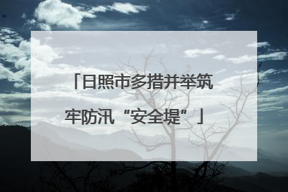 日照市多措并举筑牢防汛“安全堤”