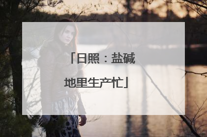 日照：盐碱地里生产忙