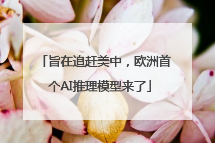 旨在追赶美中，欧洲首个AI推理模型来了
