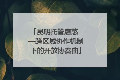 昆明托管磨憨——跨区域协作机制下的开放协奏曲