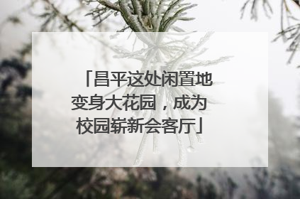 昌平这处闲置地变身大花园，成为校园崭新会客厅
