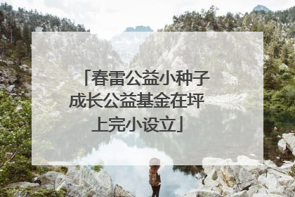 春雷公益小种子成长公益基金在坪上完小设立