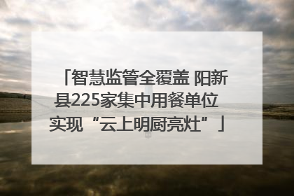 智慧监管全覆盖 阳新县225家集中用餐单位实现“云上明厨亮灶”