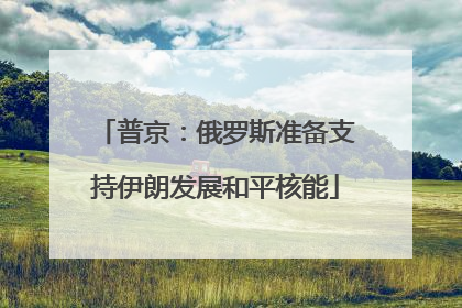 普京：俄罗斯准备支持伊朗发展和平核能