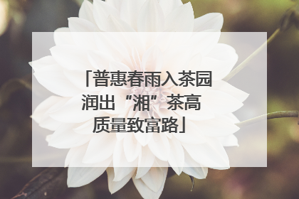 普惠春雨入茶园 润出“湘”茶高质量致富路